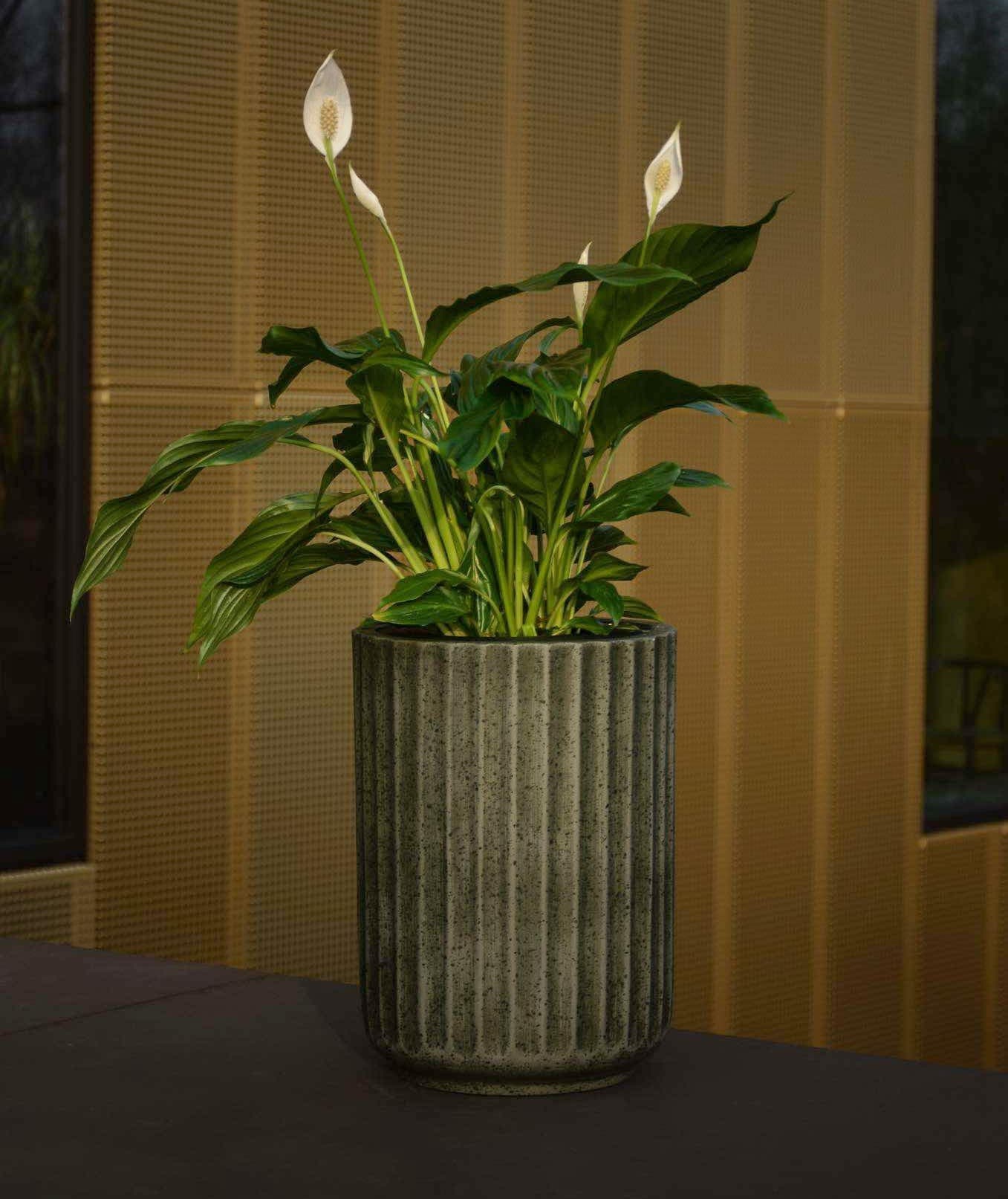 Forest Green Plant Pot